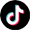 Tiktok icon